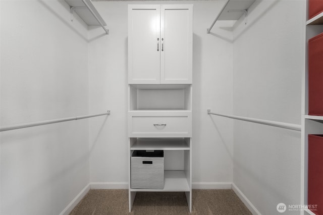 walk in closet featuring carpet
