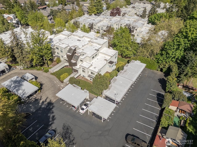 drone / aerial view