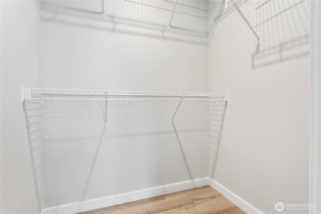 walk in closet featuring wood finished floors