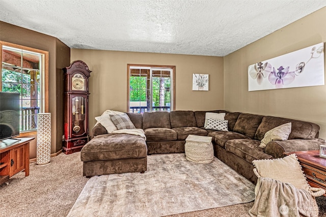 161 Mill Creek Rd, Longview, WA 98632 - carpeted living room with a textured ceiling