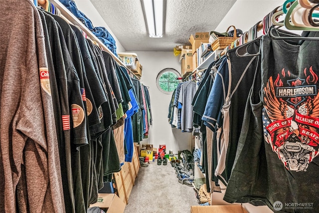 161 Mill Creek Rd, Longview, WA 98632 - walk in closet featuring carpet