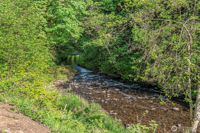 161 Mill Creek Rd, Longview, WA 98632 - view of undeveloped land