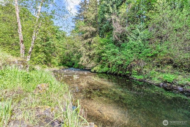161 Mill Creek Rd, Longview, WA 98632 - view of undeveloped land