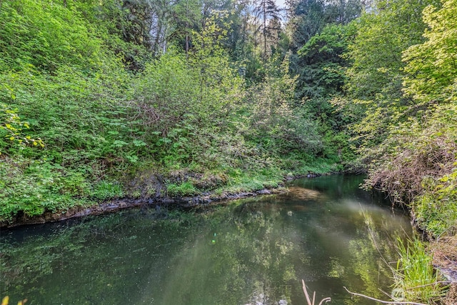 161 Mill Creek Rd, Longview, WA 98632 - view of wooded area