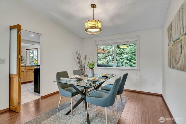 dining room featuring plenty of natural light, light wood finished floors, baseboards, a textured ceiling, and a chandelier