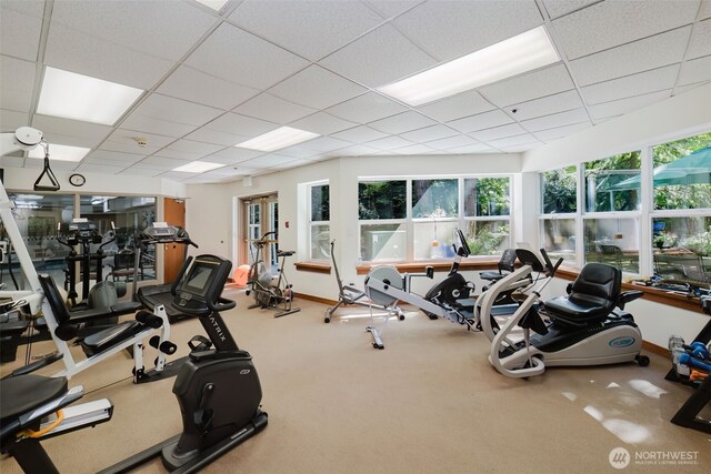 1750 152nd Ave NE Unit W110, Bellevue, WA 98007 - exercise room with a paneled ceiling, baseboards, and carpet flooring