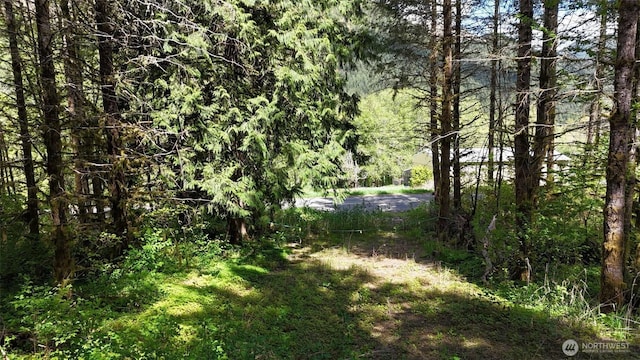 426 Highland Valley Rd, Morton, WA 98356