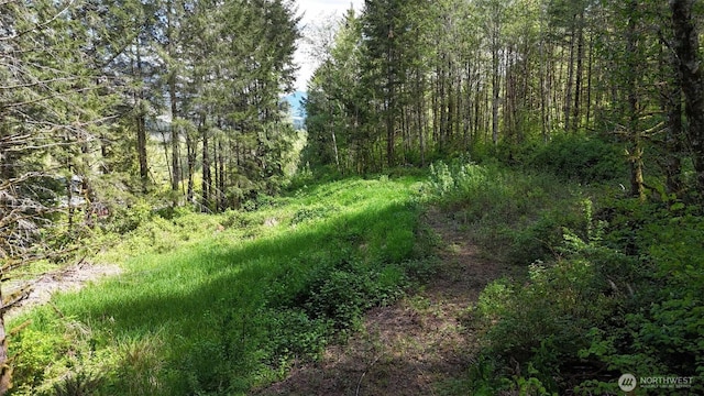 426 Highland Valley Rd, Morton, WA 98356