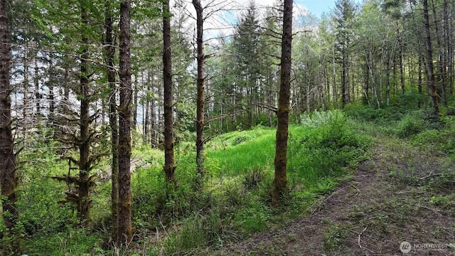 426 Highland Valley Rd, Morton, WA 98356