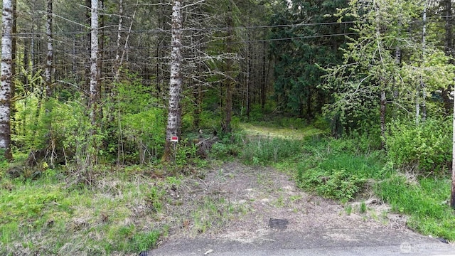 426 Highland Valley Rd, Morton, WA 98356