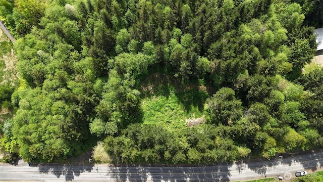 426 Highland Valley Rd, Morton, WA 98356