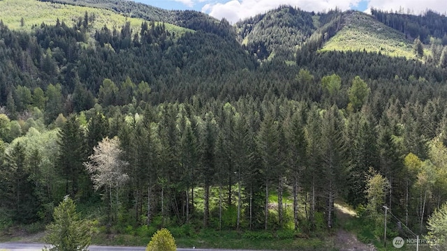 426 Highland Valley Rd, Morton, WA 98356