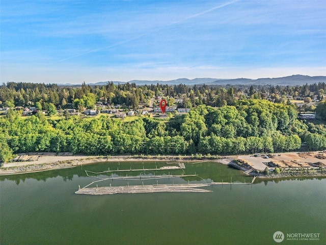 1038 Fairmount Ave, Shelton, WA 98584 - aerial view of property and surrounding area with a water and mountain view