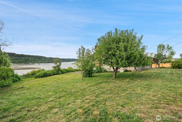1038 Fairmount Ave, Shelton, WA 98584 - view of yard featuring a water view