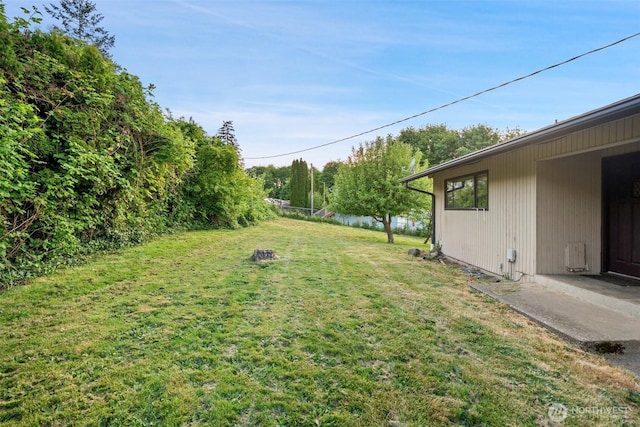 1038 Fairmount Ave, Shelton, WA 98584 - view of green lawn