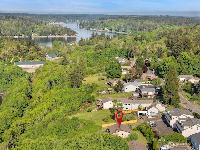 1038 Fairmount Ave, Shelton, WA 98584 - aerial view of a forest and a large body of water