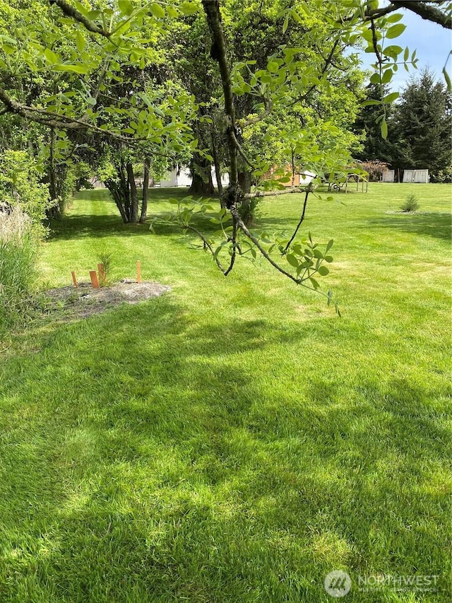 11310 Bingham Ave E, Tacoma, WA 98446 - photo 16