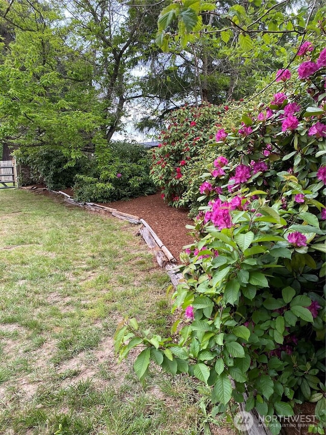 11310 Bingham Ave E, Tacoma, WA 98446 - photo 5