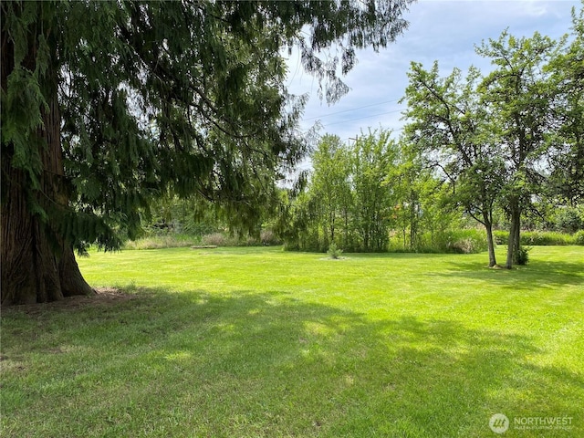 11310 Bingham Ave E, Tacoma, WA 98446 - photo 15