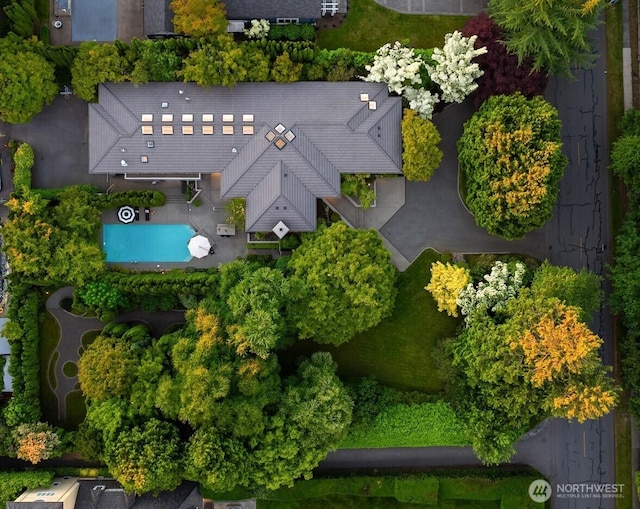 aerial view