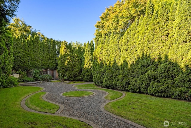 view of property's community featuring a yard and a forest view