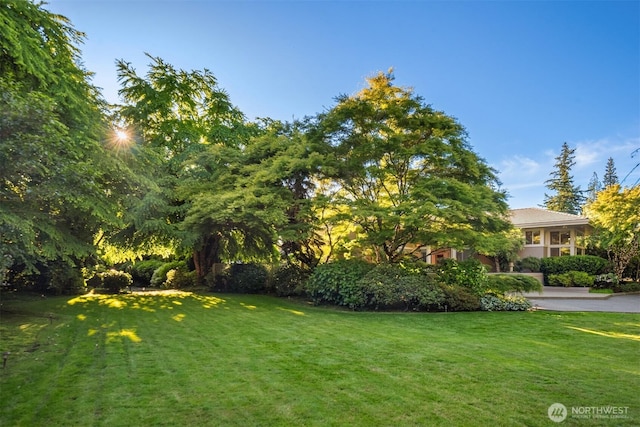 view of grassy yard