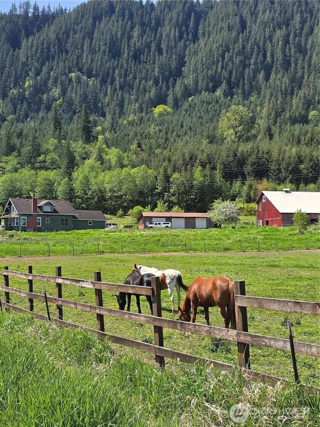 121 Temple Rd, Morton, WA 98356 - view of yard featuring a view of trees and a rural view