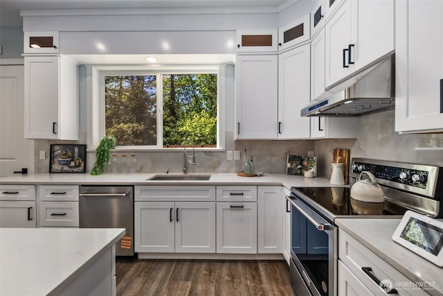 kitchen with appliances with stainless steel finishes, under cabinet range hood, a sink, and white cabinets