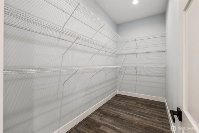 spacious closet featuring dark wood-type flooring