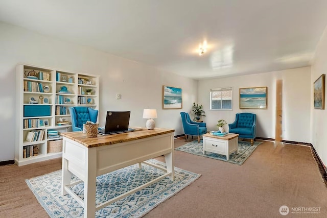130 Priest Point Dr NE, Tulalip, WA 98271 - office area with baseboards