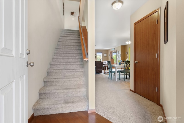 stairs featuring wood finished floors