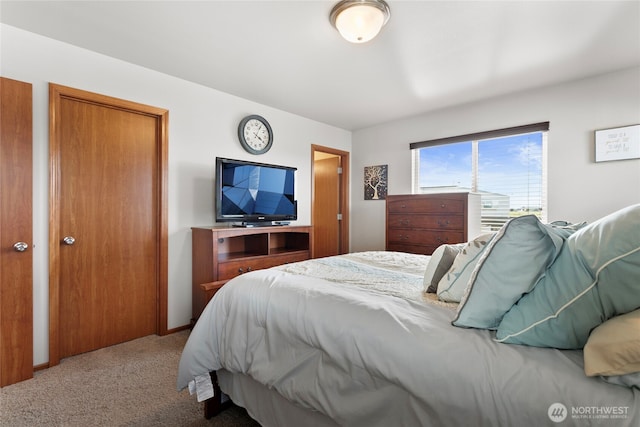 bedroom with carpet flooring