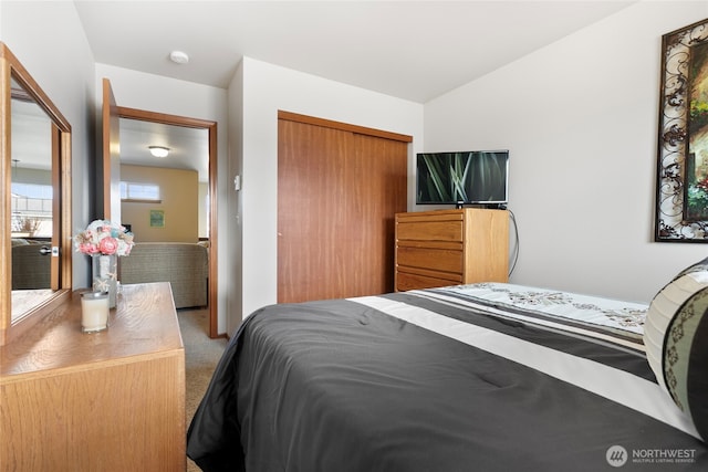 carpeted bedroom featuring a closet