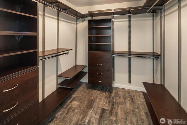 spacious closet with dark wood finished floors