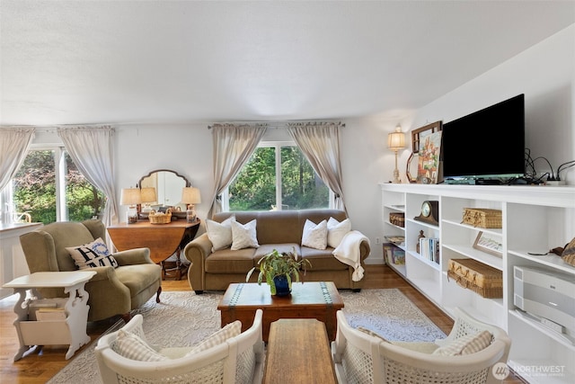 living area featuring wood finished floors