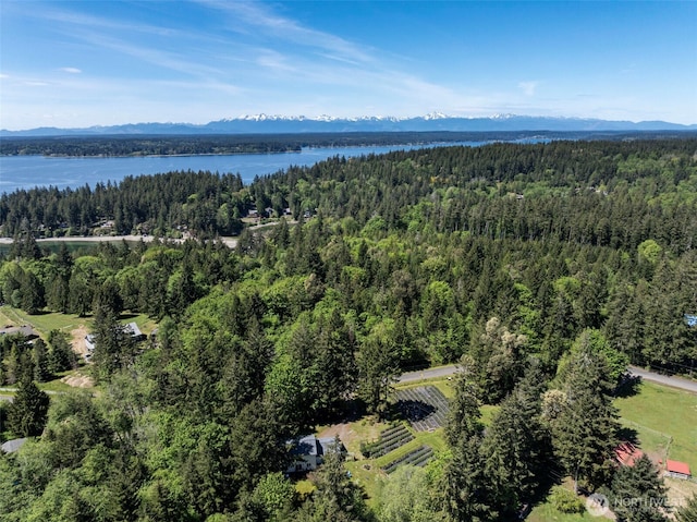 aerial view of a forest and a water and mountain view