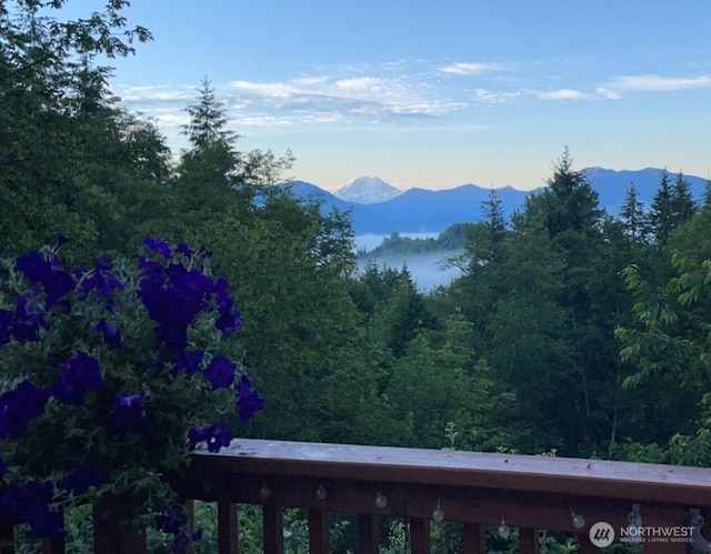 view of mountain background with a heavily wooded area