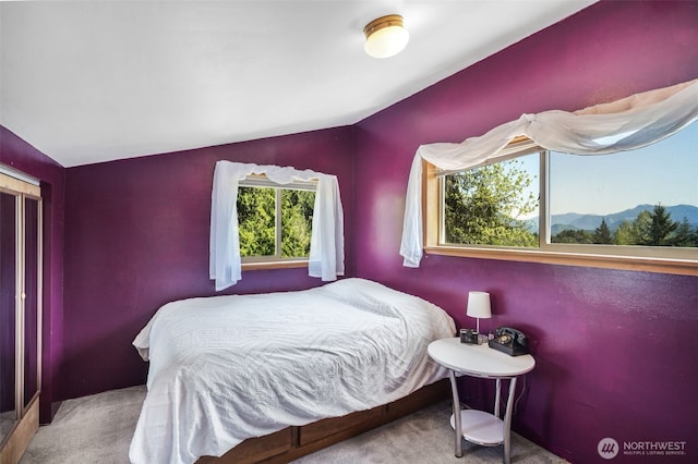 carpeted bedroom with vaulted ceiling