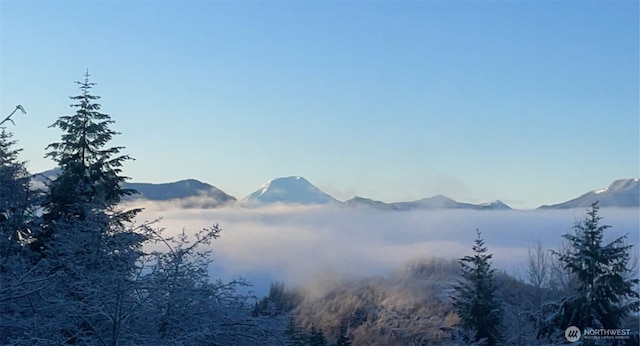 view of mountain background