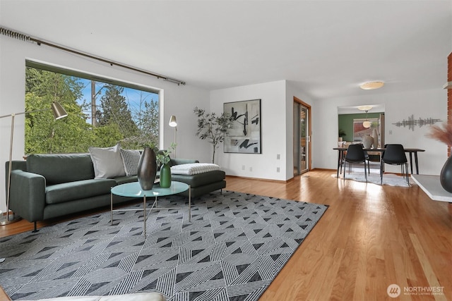 living room featuring plenty of natural light and wood finished floors