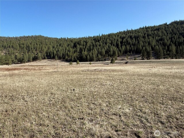 17 Sorona E, Tonasket, WA 98855