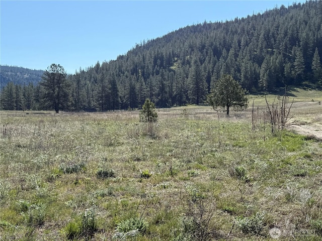17 Sorona E, Tonasket, WA 98855