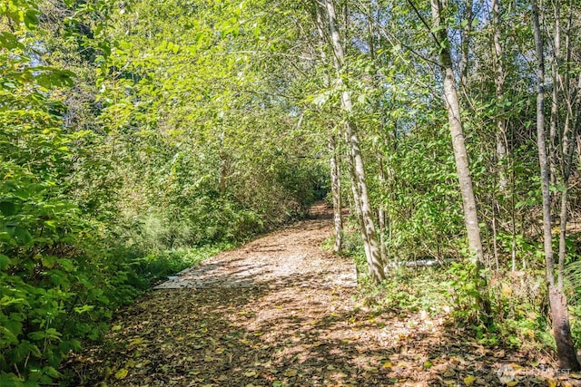 6130 Maltby Rd, Woodinville, WA 98072 - view of woods