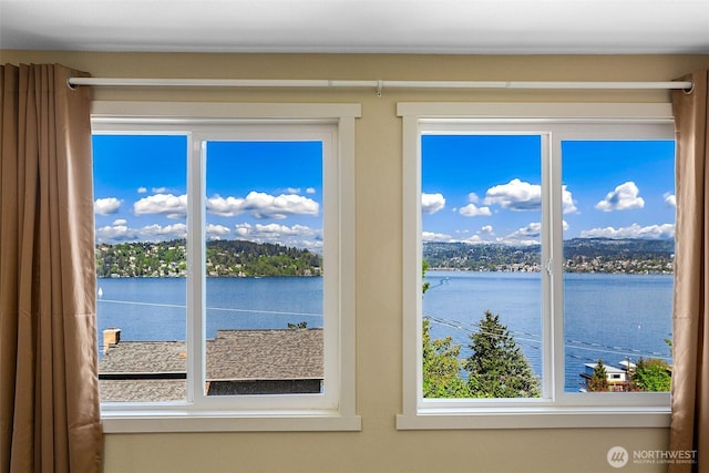 9919 Arrowsmith Ave S, Seattle, WA 98118 - water view