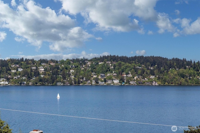 9919 Arrowsmith Ave S, Seattle, WA 98118 - water view