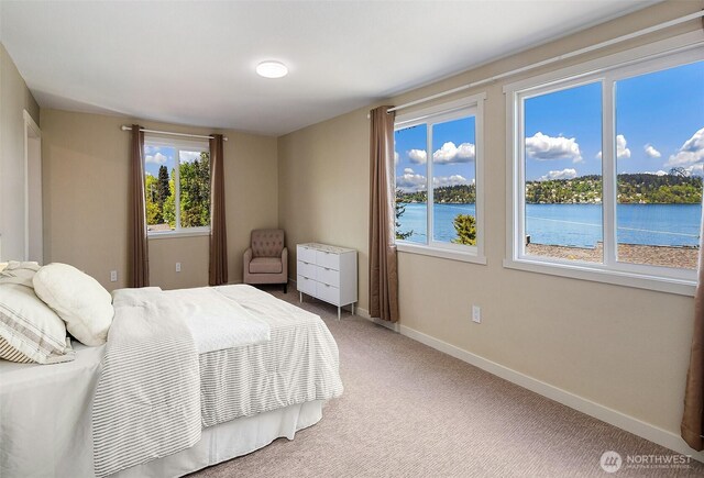 9919 Arrowsmith Ave S, Seattle, WA 98118 - bedroom with a water view, baseboards, and light carpet