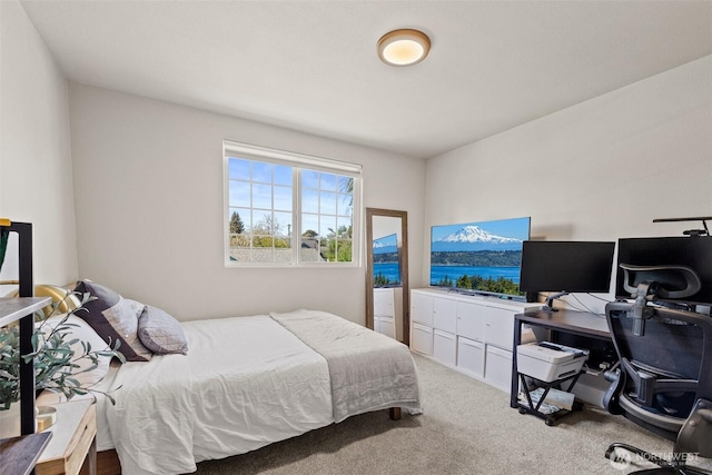 3342 Greenwood Ave W, University Place, WA 98466 - carpeted bedroom featuring an office area