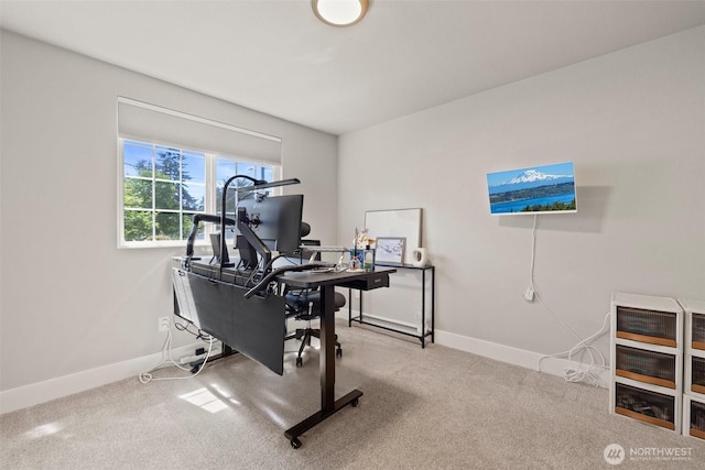 3342 Greenwood Ave W, University Place, WA 98466 - office area with baseboards and carpet floors