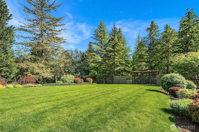 26108 SE 27th St, Sammamish, WA 98075 - view of grassy yard