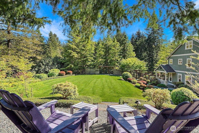 26108 SE 27th St, Sammamish, WA 98075 - view of yard